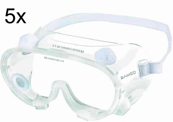 5 x Schutzbrille nach DIN EN 166:2002-04 - Persönlicher Augenschutz